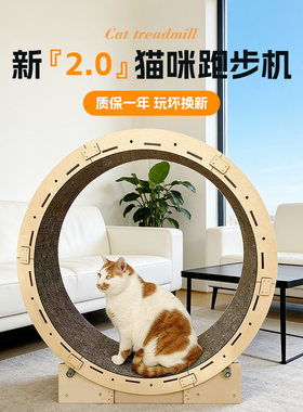 猫咪运动滚轮跑步机宠物健身运动