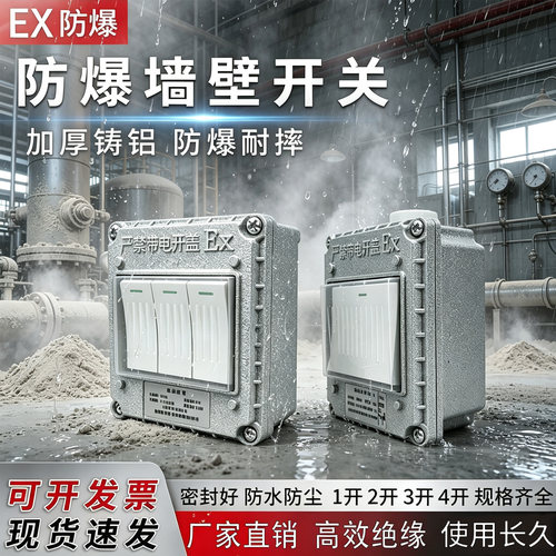 防爆墙壁开关型明装单控双控10A20A厂房车间220V380V铸铝防水插座
