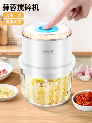 Garlic Masher Electric Chopper Garlic Grinder Garlic Paste Meat Grinder Food Processor Baby Food Processor