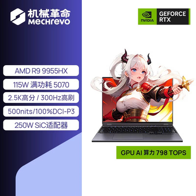 机械革命蛟龙16Pro游戏本