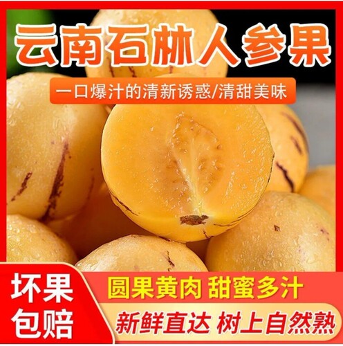 云南特产石林人参果新鲜孕妇低糖水果当季采摘整箱包邮地标产地发
