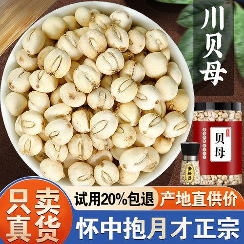 【活动价！限今日】正宗贝母50克