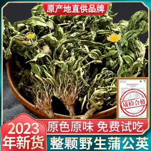 【只卖真货】2024整颗蒲公英1斤