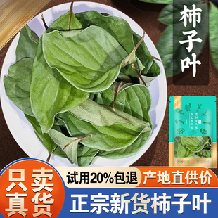 霜后柿子叶官方旗舰店非中药材压荷叶茶粉白芥子猪油降的功效