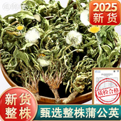 蒲公英带根干货500g新鲜浦公英非中药材官方正品 不特级野生旗舰店