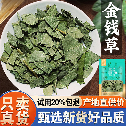 【产地直供价】金钱草500克
