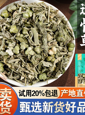 透骨草500g正品另售远志益智仁伸筋草透骨草新货非中药材