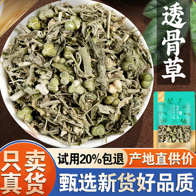 【活动价!只限今日】透骨草500克