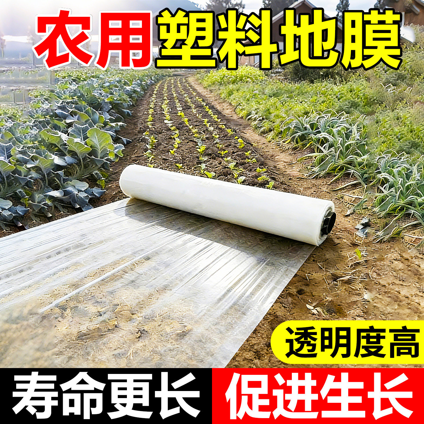 农用塑料地膜农业种植西瓜土豆专用塑料白薄膜菜园保温保湿拱棚膜