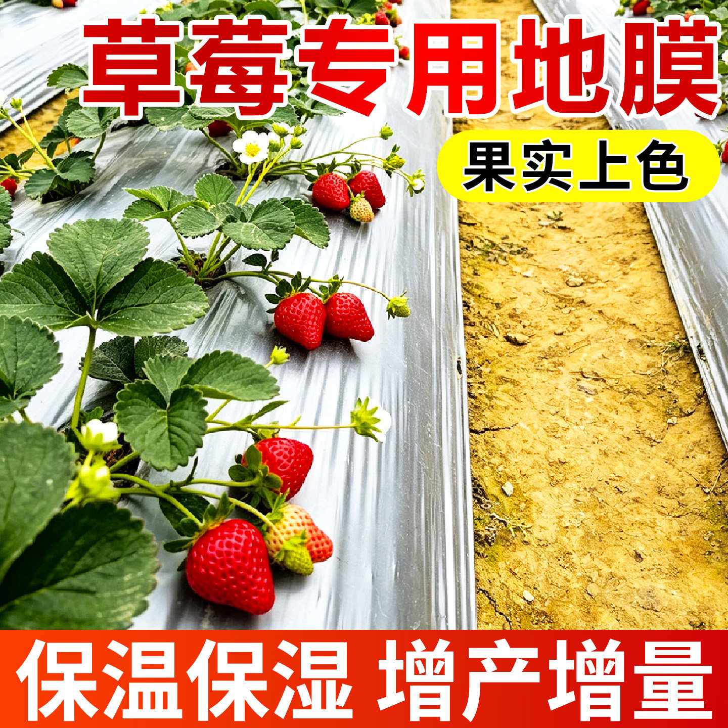 草莓专用地膜银黑双色反光除草地树园保湿保温薄膜种植膜防虫除草