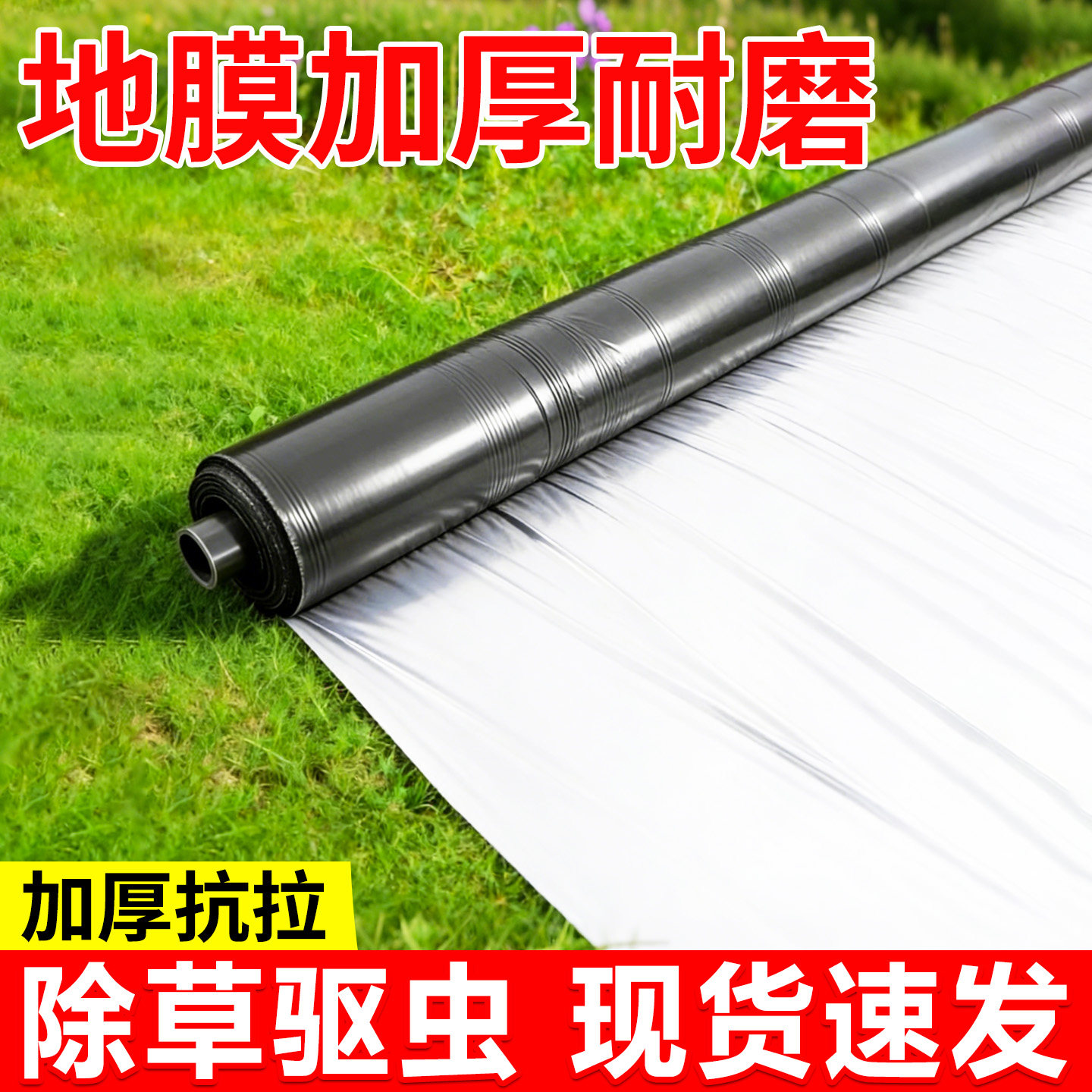 地膜加厚耐磨薄膜防虫反光银黑地膜农用蔬菜种植专用塑料薄膜加厚