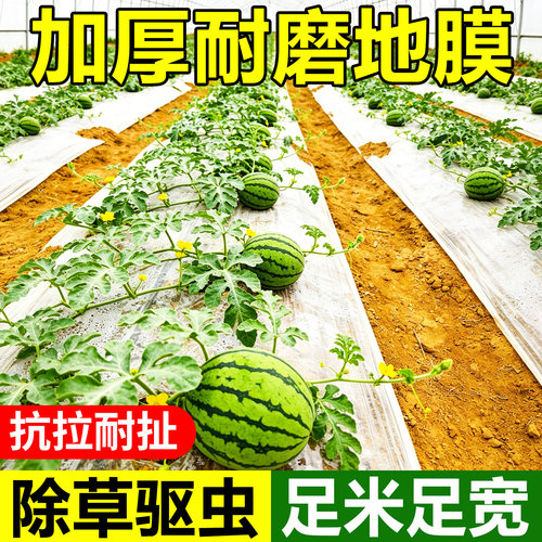 加厚耐磨地膜农用抗老化塑料薄膜防草种植棚蔬菜果园种植白色地膜