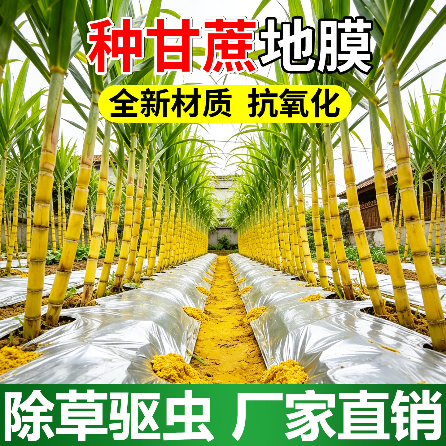 种甘蔗地膜全新料银黑双色地膜加厚防虫反光地膜覆盖防草保温地膜