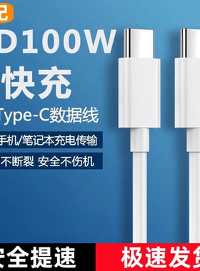 TJ台纪双头typec数据线ctoc双口pd100w快充tpyec适用苹果15pro华为ipad转iPhone手机车载tpc充电线两头tapec