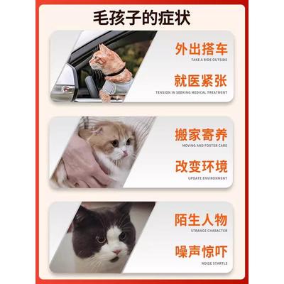加巴安宠物营养剂猫咪加巴猫喷丁应激舒缓情绪口服液30ml
