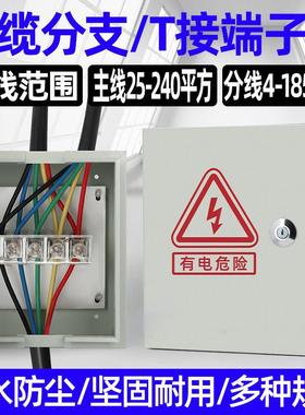 IKV矿物质绝缘电缆分支箱铜排式T接转换箱JXT1电缆接线端子分流箱