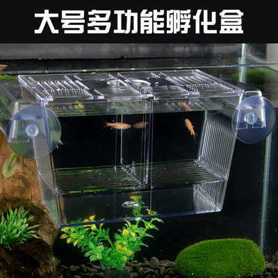 鱼缸孵化器繁殖亚克力隔离