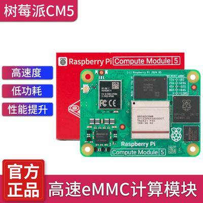 树莓派CM5核心板 官方Computer Module 5 IO  raspberry Pi cm5