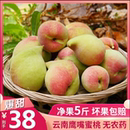 8斤 云南鹰嘴桃脆甜多汁5斤