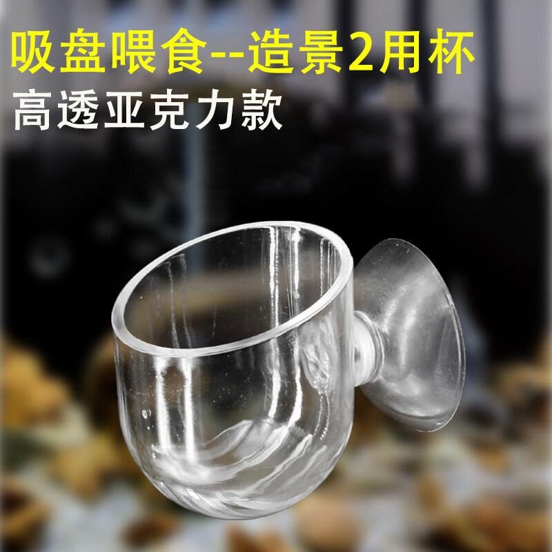 热带观赏鱼红虫投喂器具透明亚克力吸盘喂食杯水族壁挂线虫食杯
