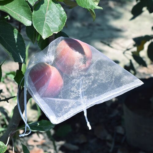 防虫防鸟尼龙网袋种子袋瓜果火龙果袋葡萄水果套袋菠萝蜜透明