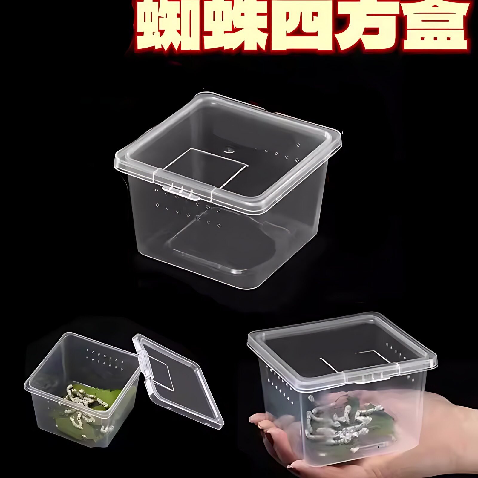 蜘蛛盒透气小盒蚕宝宝养殖盒螳螂饲养仓鼠爱爬四方盒