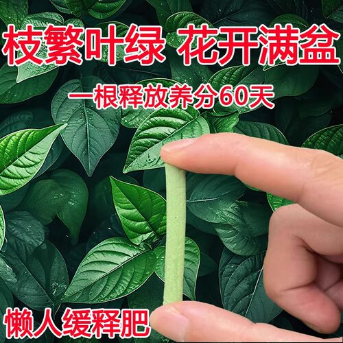 植物营养棒长效多肉肥花卉种花懒人复合绿植施肥烂根促开花专用中