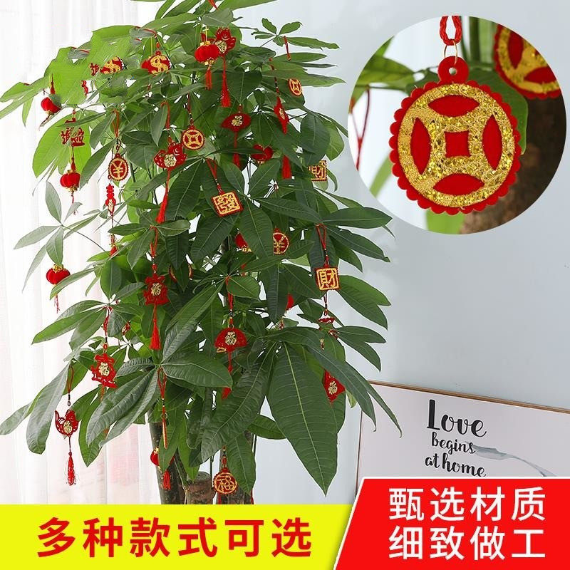 挂树上的小红包盆景盆栽挂件新年春节发财树挂绳红包挂饰装饰布置