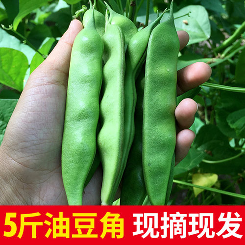 油豆角阿卡农庄akafarm口碑 质量怎么样