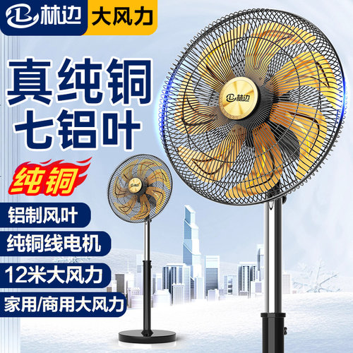 林边铜线电机工业落地风扇大风力