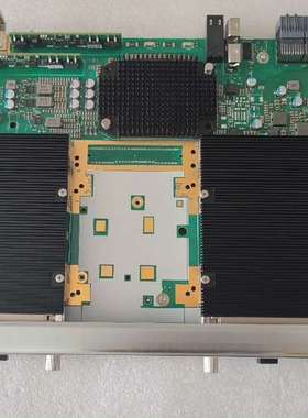 :TNU5N402C01 1路100G线路业务处理板