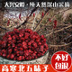 新五味子中药材正品 东北新鲜干货油籽泡茶500g北五味子旗舰店