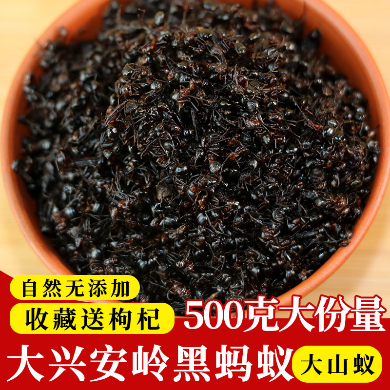 黑蚂蚁干野生大兴安岭蚁黑多刺蚁500g养生泡酒料大蚂蚁酸黑蚂蚁粉