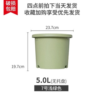 月季 爱丽思花盆7号家用加仑盆4只装 莲花绣球专用塑料树脂爱丽丝盆