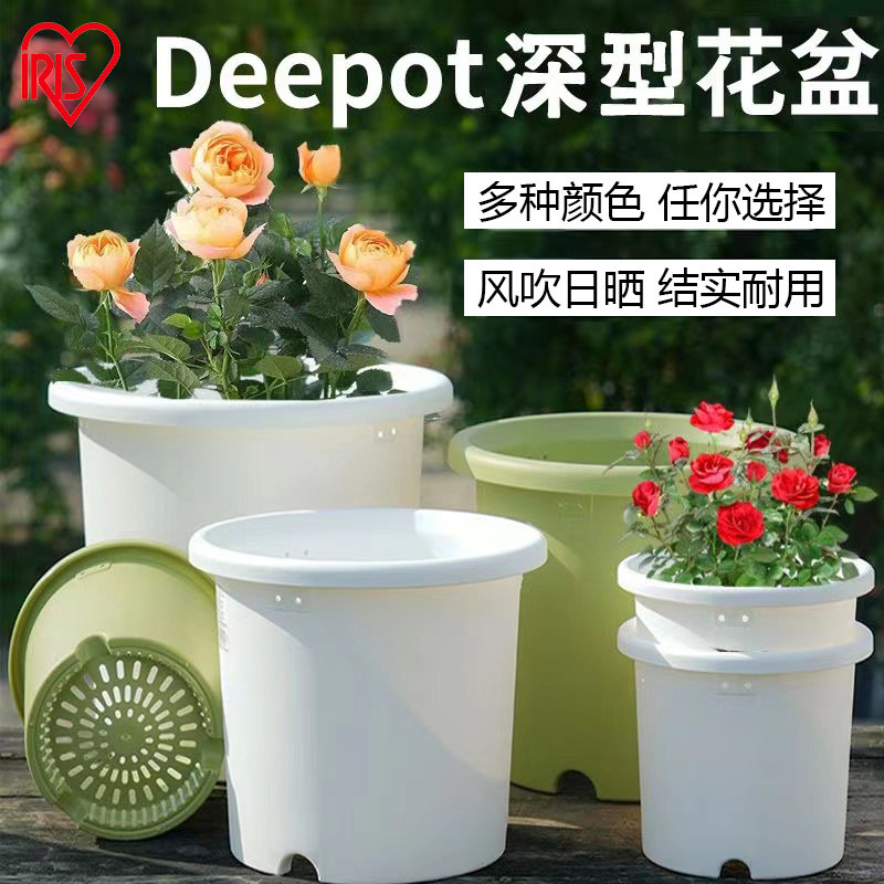 爱丽思花盆7号家用加仑盆4只装月季莲花绣球专用塑料树脂爱丽丝盆,鲜花速递/花卉仿真/绿植园艺,花盆,淘宝优惠券,粉丝福利购,淘宝优惠卷