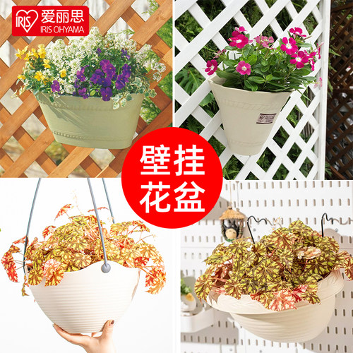 爱丽思壁挂花盆圆形加厚树脂创意