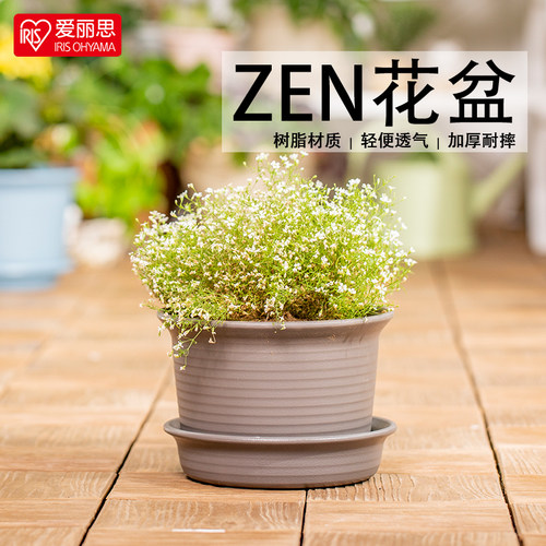 爱丽思花盆阳台多肉吊篮树脂