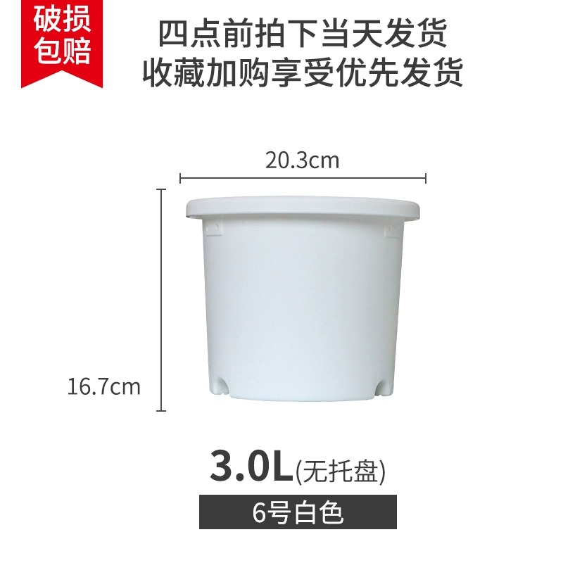 【拍1发5】爱丽思花盆6号家用花盆月季绣球通用盆加仑盆爱丽丝盆
