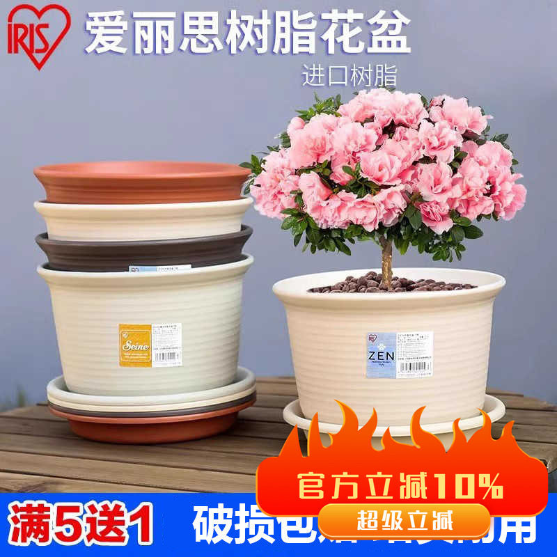 爱丽思多肉植物树脂花盆