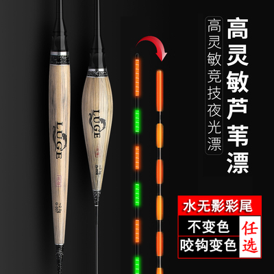 咬钩变色芦苇电子漂夜光浮漂水无影超亮醒目高灵敏黑坑轻口鲫鱼漂