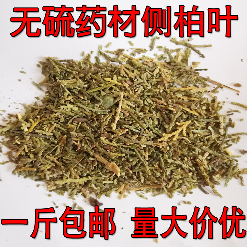 野生药材侧柏叶新鲜侧柏叶药材可