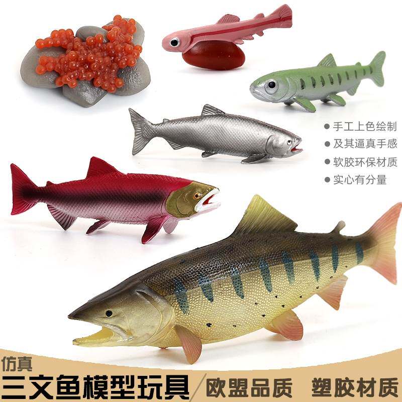 仿真海洋动物三文鱼模型鲫安康鱼鲨鱼玩具河豚鲤鱼儿童认知礼物