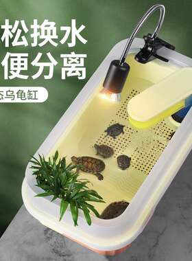 乌龟饲养缸周转箱鱼缸乌龟和鱼饲养缸迷你蜗牛造景小型办公室大号