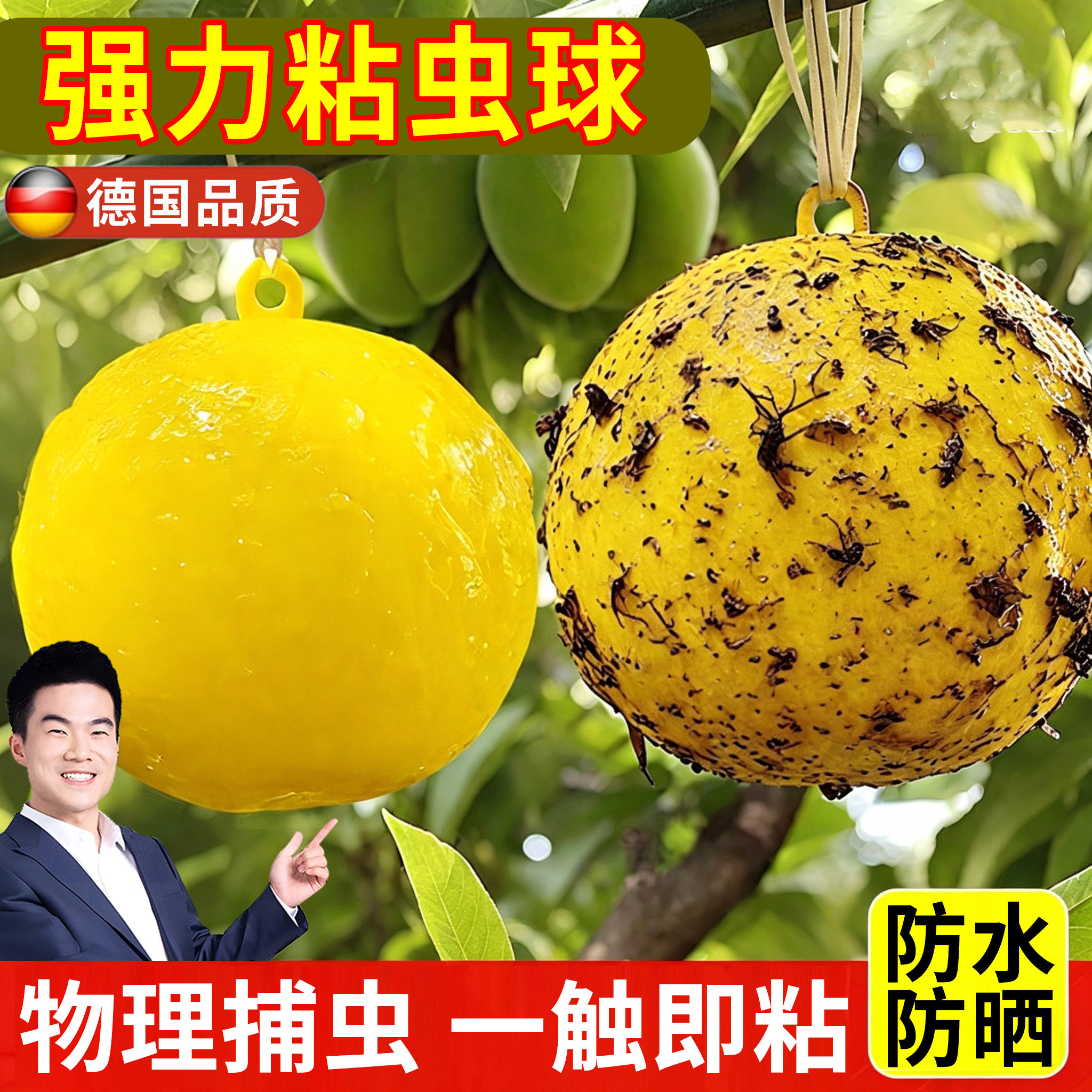 德国强力粘虫球诱蝇球瓜果实蝇诱粘剂果蝇诱捕器黄板引诱剂果园虫