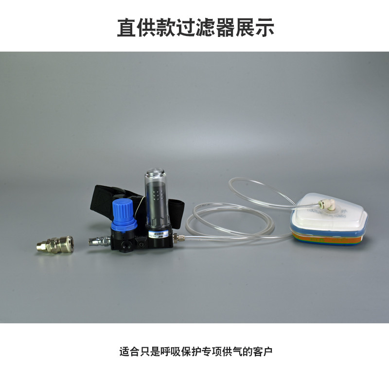 供气式化工防尘口罩防工业粉尘面罩头戴式防毒甲醛气体面具配件