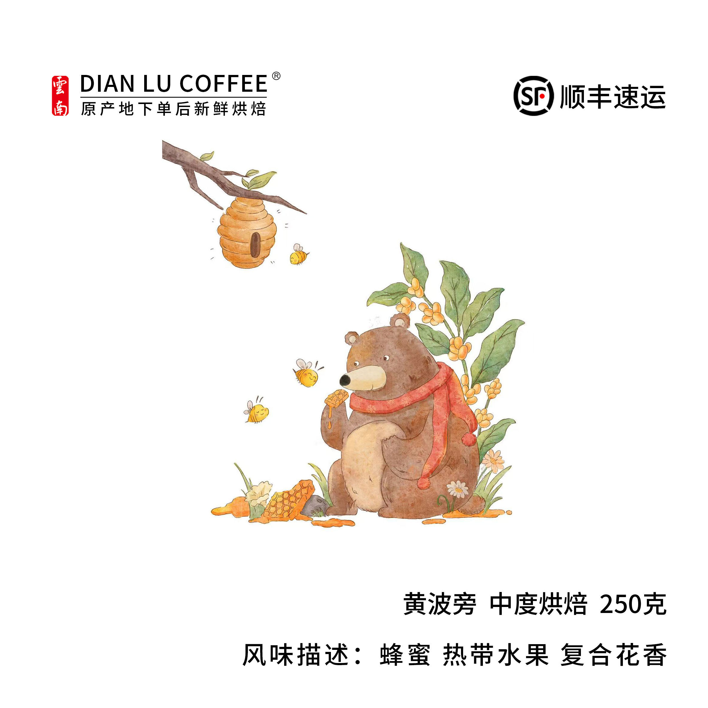 滇潞 日晒黄波旁 云南小粒咖啡 精品咖啡豆 阿拉比卡手冲单品250g