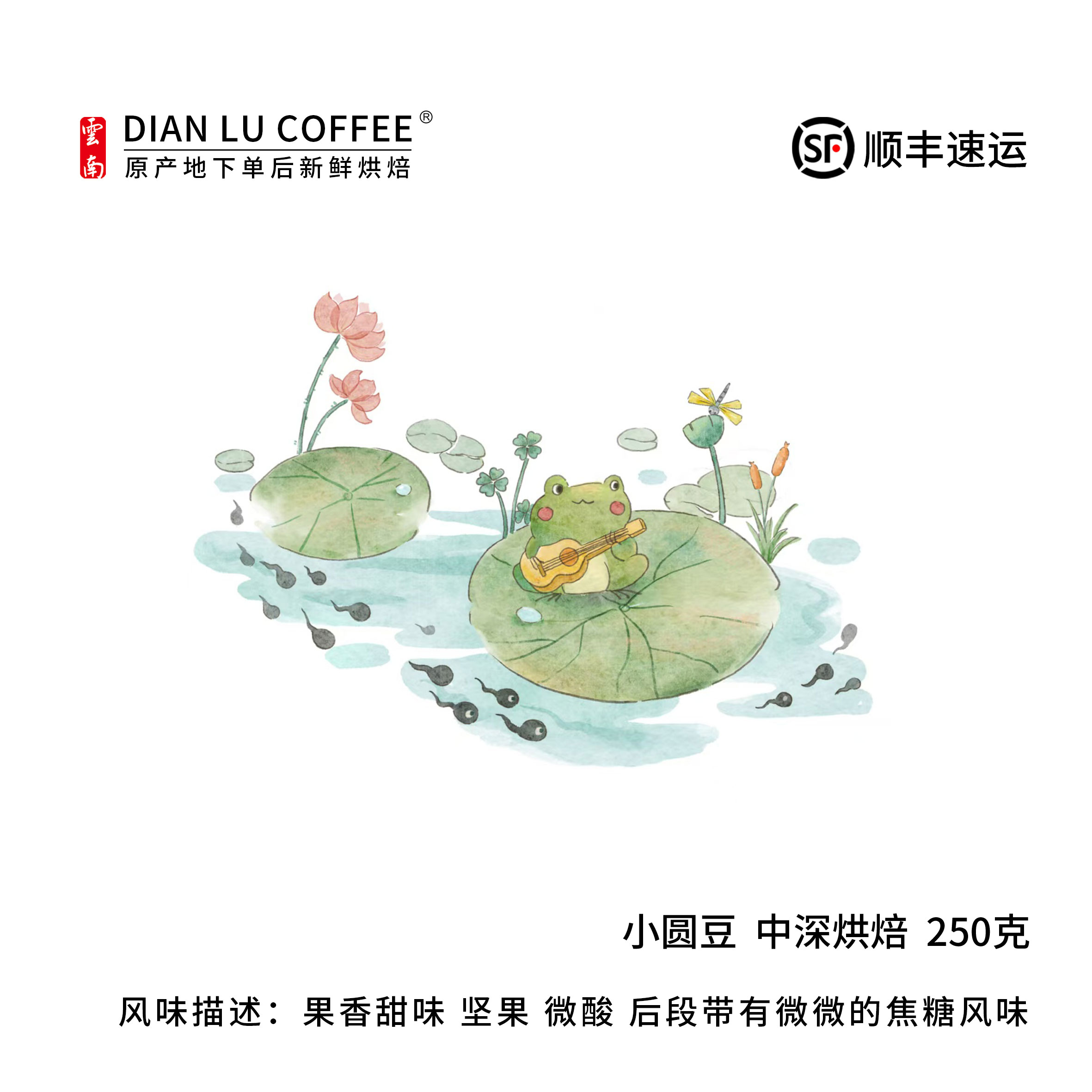 滇潞阿拉比卡云南保山果香坚果