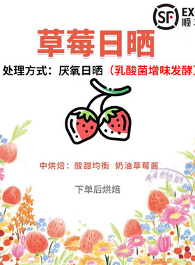 云南滇潞草莓风味精品咖啡豆250g