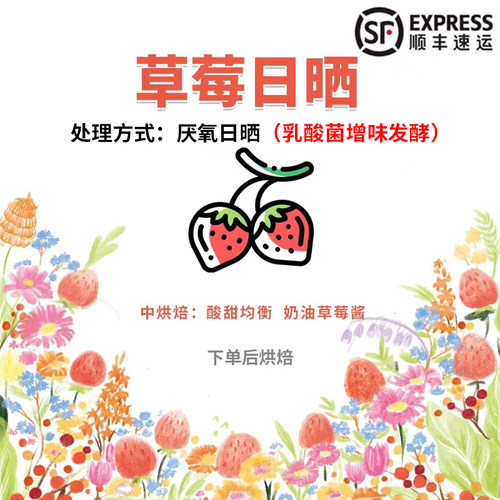 云南滇潞草莓风味精品咖啡豆250g