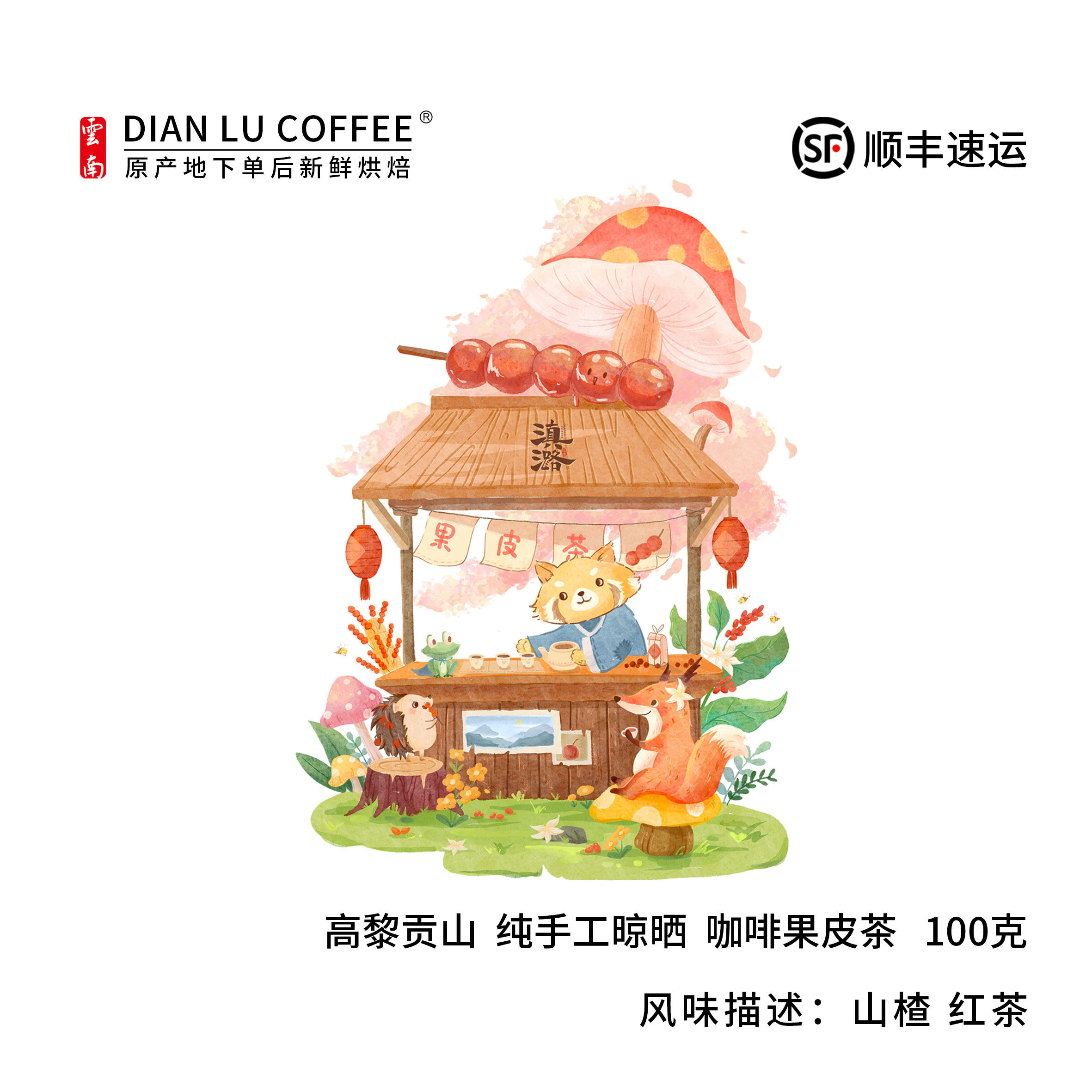 滇潞 咖啡果皮茶 云南小粒咖啡  纯手工采摘全红果晾晒制作100克g